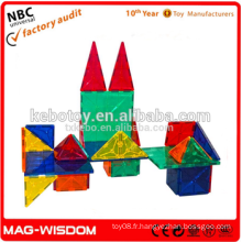 3-D Magnetic Diy Building Tiles building blocks